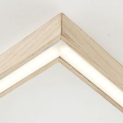 Brilliant - LED Stropné svietidlo DELGROSSO LED/24W/230V 3000K dub