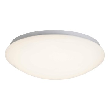Brilliant - LED Stropné svietidlo FAKIR LED/11W/230V 3000K pr. 30 cm