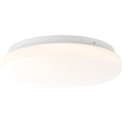 Brilliant - LED Stropné svietidlo FARICA LED/12W/230V pr. 26 cm biela