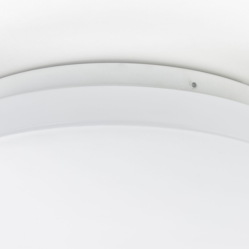 Brilliant - LED Stropné svietidlo FARICA LED/12W/230V pr. 26 cm biela