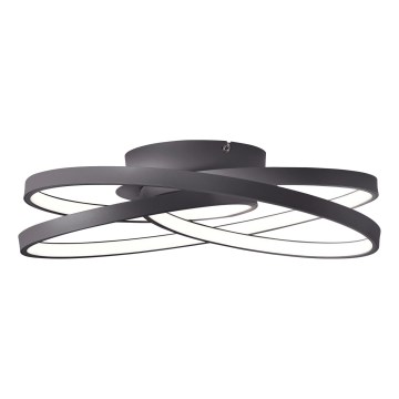 Brilliant - LED Stropné svietidlo LABYRINTH LED/40W/230V pr. 39,5 cm čierna