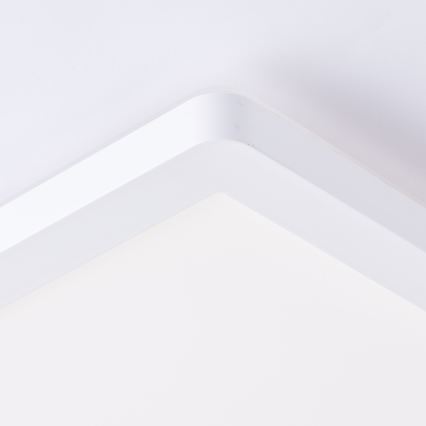 Brilliant - LED stropné svietidlo MILTON LED/24W/230V 42x42 cm biele