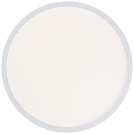 Brilliant - LED stropné svietidlo MILTON LED/24W/230V pr. 42 cm biela