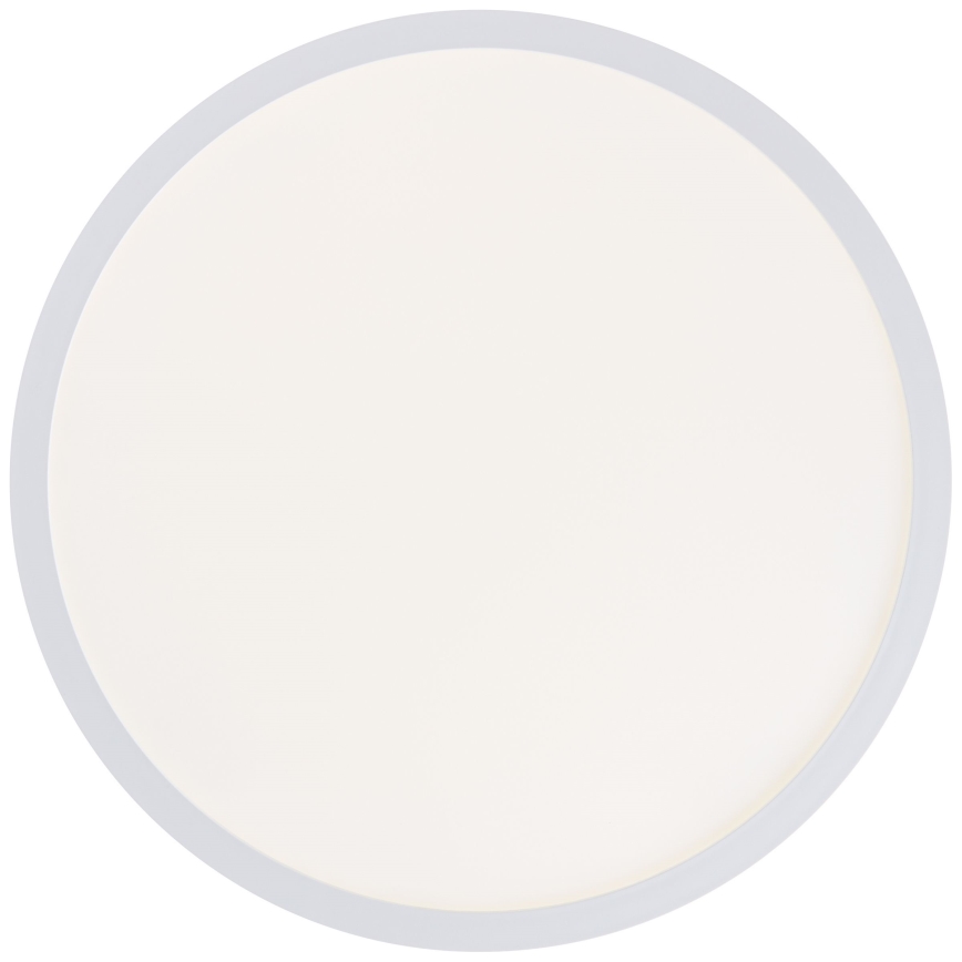 Brilliant - LED stropné svietidlo MILTON LED/24W/230V pr. 42 cm biela
