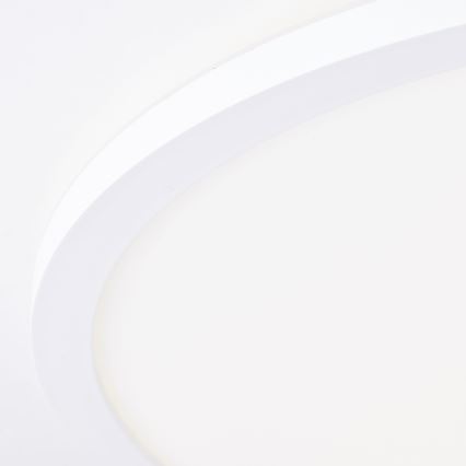 Brilliant - LED stropné svietidlo MILTON LED/24W/230V pr. 42 cm biela