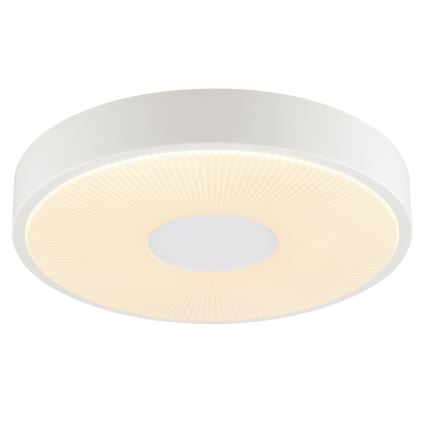 Brilliant - LED stropné svietidlo RAKIN LED/18W/230V priemer 33,5 cm biele