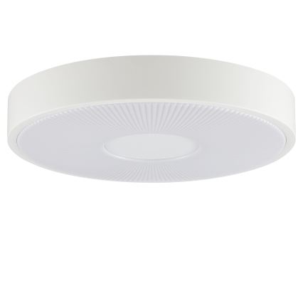 Brilliant - LED stropné svietidlo RAKIN LED/18W/230V priemer 33,5 cm biele