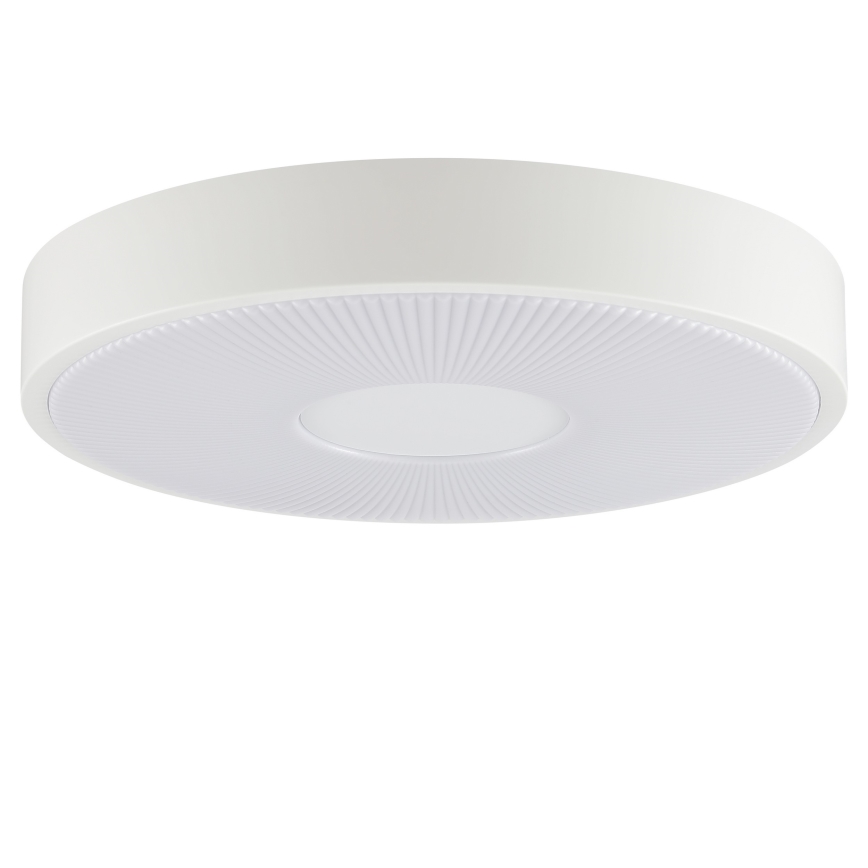 Brilliant - LED stropné svietidlo RAKIN LED/18W/230V priemer 33,5 cm biele