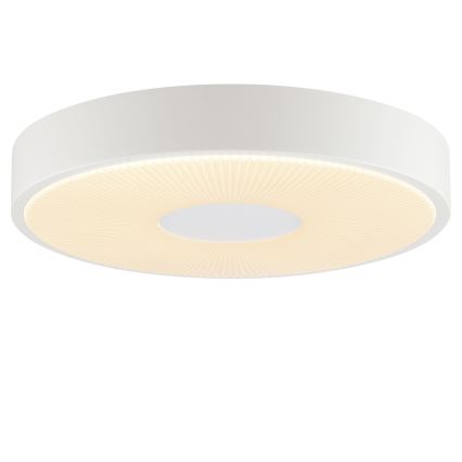 Brilliant - LED stropné svietidlo RAKIN LED/18W/230V priemer 33,5 cm biele