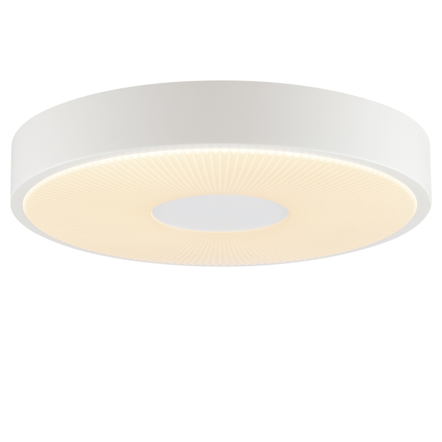 Brilliant - LED stropné svietidlo RAKIN LED/18W/230V priemer 33,5 cm biele
