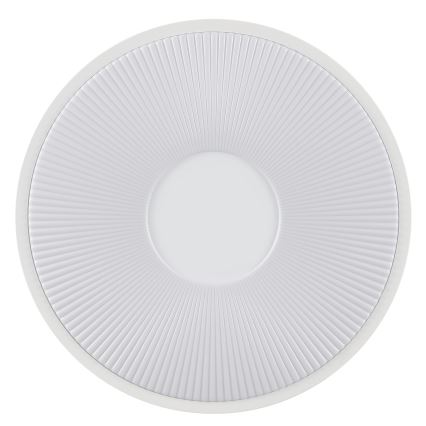 Brilliant - LED stropné svietidlo RAKIN LED/18W/230V priemer 33,5 cm biele
