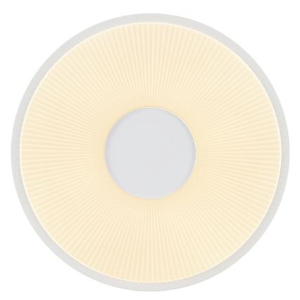 Brilliant - LED stropné svietidlo RAKIN LED/18W/230V priemer 33,5 cm biele