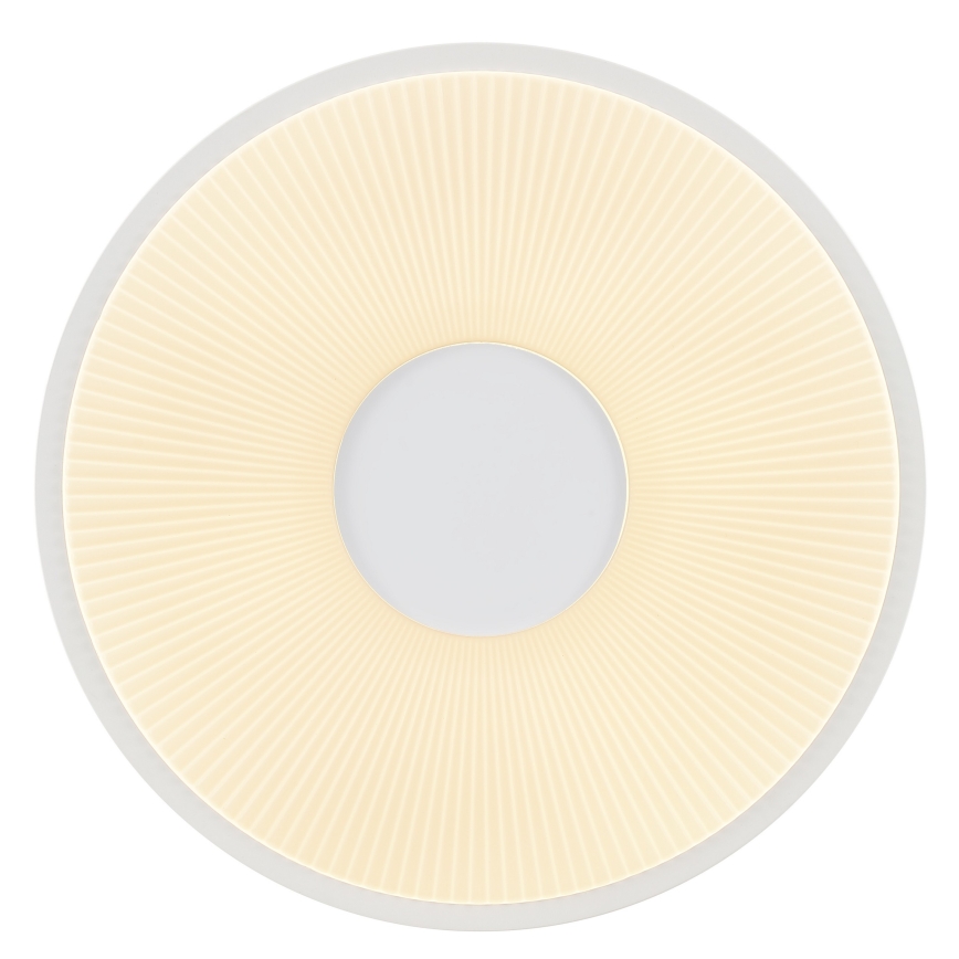 Brilliant - LED stropné svietidlo RAKIN LED/18W/230V priemer 33,5 cm biele