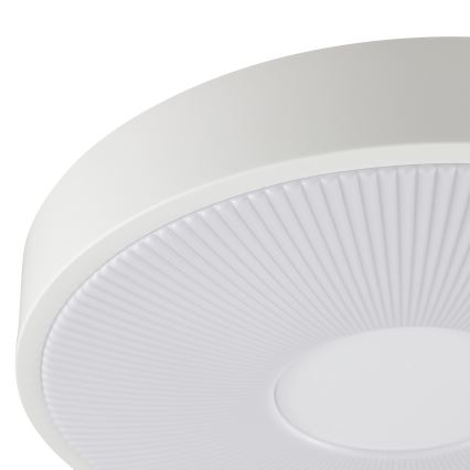 Brilliant - LED stropné svietidlo RAKIN LED/18W/230V priemer 33,5 cm biele