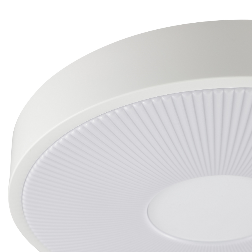Brilliant - LED stropné svietidlo RAKIN LED/18W/230V priemer 33,5 cm biele