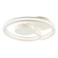Brilliant - LED Stropné svietidlo REVOLA LED/33W/230V 3000/4000/6500K pr. 40 cm biela