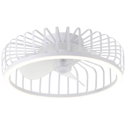 Brilliant - LED stmievateľné stropné svietidlo s ventilátorom CAPO LED/36W/230V 2700-6500K priemer 48 cm biela + diaľkové ovládanie