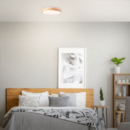 Brilliant - LED stropné svietidlo SLIMLINE LED/24W/230V pr. 34,5 cm gumovník