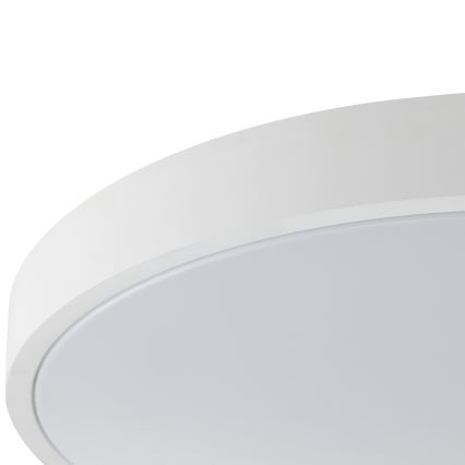 Brilliant - LED stropné svietidlo SOLISTRA LED/18W/230V pr. 34,5 cm biela