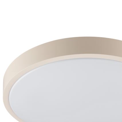 Brilliant - LED stropné svietidlo SOLISTRA LED/18W/230V, priemer 34,5 cm, béžové