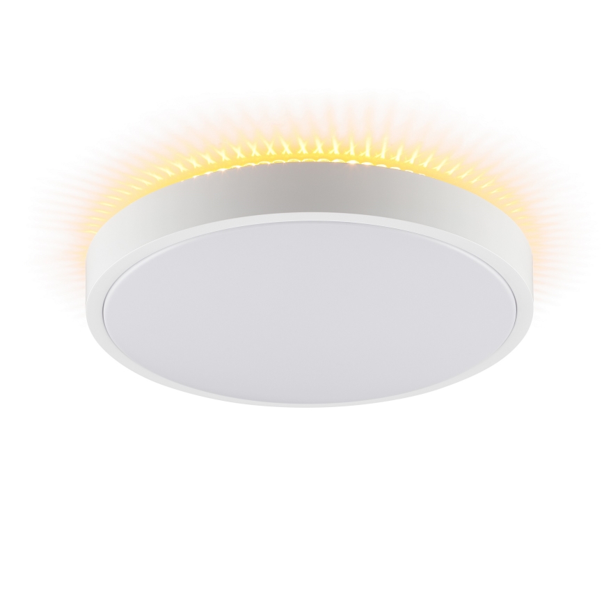 Brilliant - LED stropné svietidlo SOLISTRA LED/24W/230V pr. 44,5 cm biela