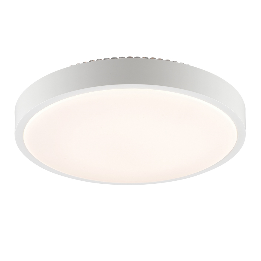 Brilliant - LED stropné svietidlo SOLISTRA LED/24W/230V pr. 44,5 cm biela