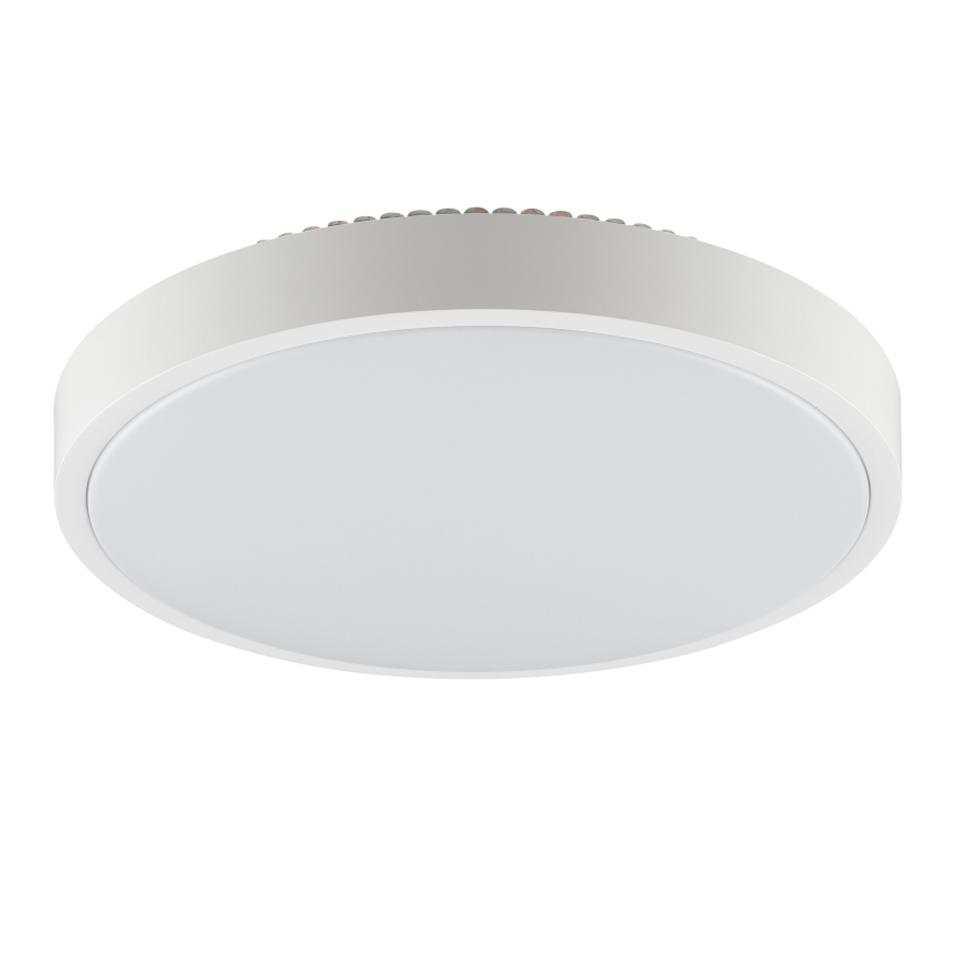 Brilliant - LED stropné svietidlo SOLISTRA LED/24W/230V pr. 44,5 cm biela