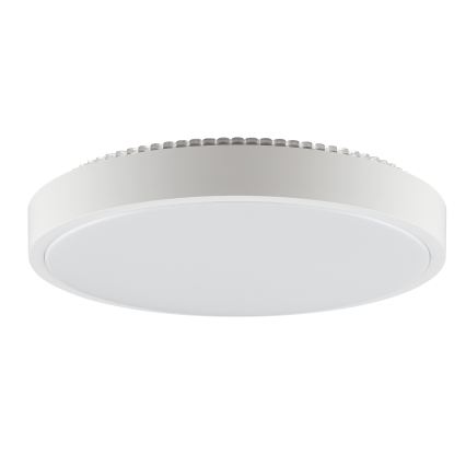 Brilliant - LED stropné svietidlo SOLISTRA LED/24W/230V pr. 44,5 cm biela