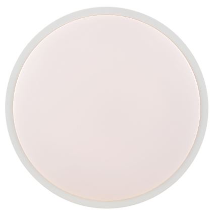Brilliant - LED stropné svietidlo SOLISTRA LED/24W/230V pr. 44,5 cm biela