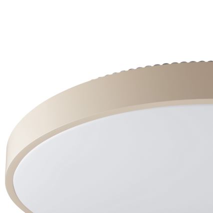 Brilliant - LED stropné svietidlo SOLISTRA LED/36W/230V pr. 54 cm béžové