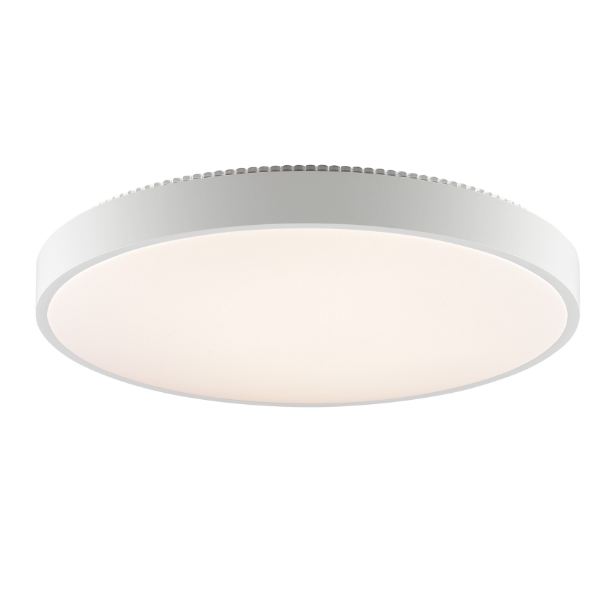 Brilliant - LED stropné svietidlo SOLISTRA LED/36W/230V, pr. 54 cm, biela