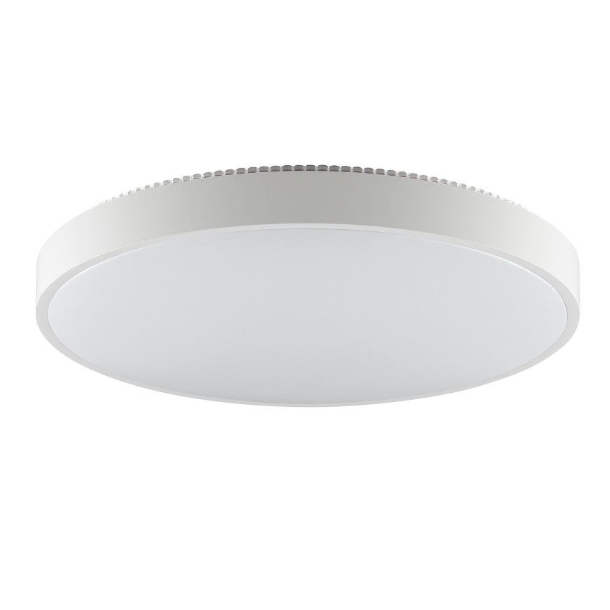 Brilliant - LED stropné svietidlo SOLISTRA LED/36W/230V, pr. 54 cm, biela