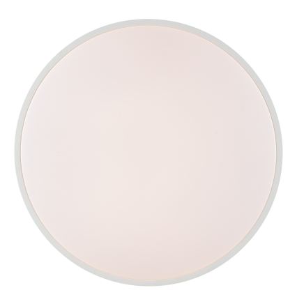 Brilliant - LED stropné svietidlo SOLISTRA LED/36W/230V, pr. 54 cm, biela