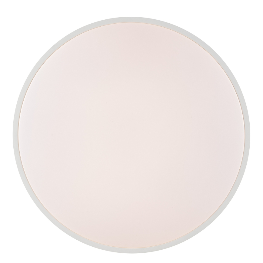 Brilliant - LED stropné svietidlo SOLISTRA LED/36W/230V, pr. 54 cm, biela