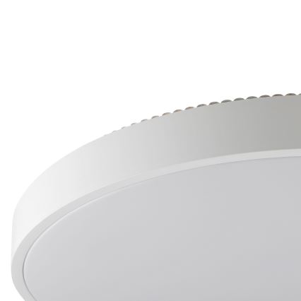 Brilliant - LED stropné svietidlo SOLISTRA LED/36W/230V, pr. 54 cm, biela
