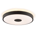 Brilliant - LED stropné svietidlo TAVIS LED/24W/230V pr. 44,5 cm čierne
