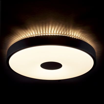 Brilliant - LED stropné svietidlo TAVIS LED/24W/230V pr. 44,5 cm čierne