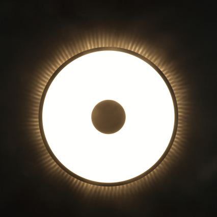 Brilliant - LED stropné svietidlo TAVIS LED/24W/230V pr. 44,5 cm čierne