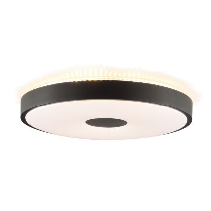 Brilliant - LED stropné svietidlo TAVIS LED/24W/230V pr. 44,5 cm čierne