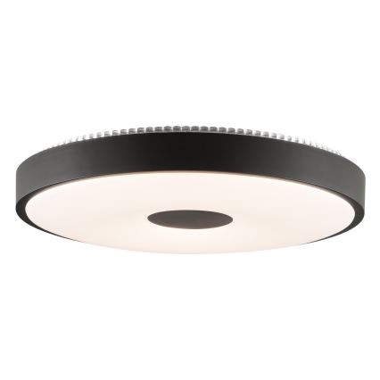 Brilliant - LED stropné svietidlo TAVIS LED/24W/230V pr. 44,5 cm čierne
