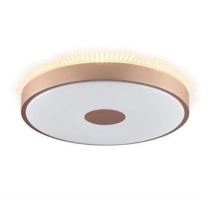 Brilliant - LED stropné svietidlo TAVIS LED/24W/230V pr. 44,5 cm ružové zlato