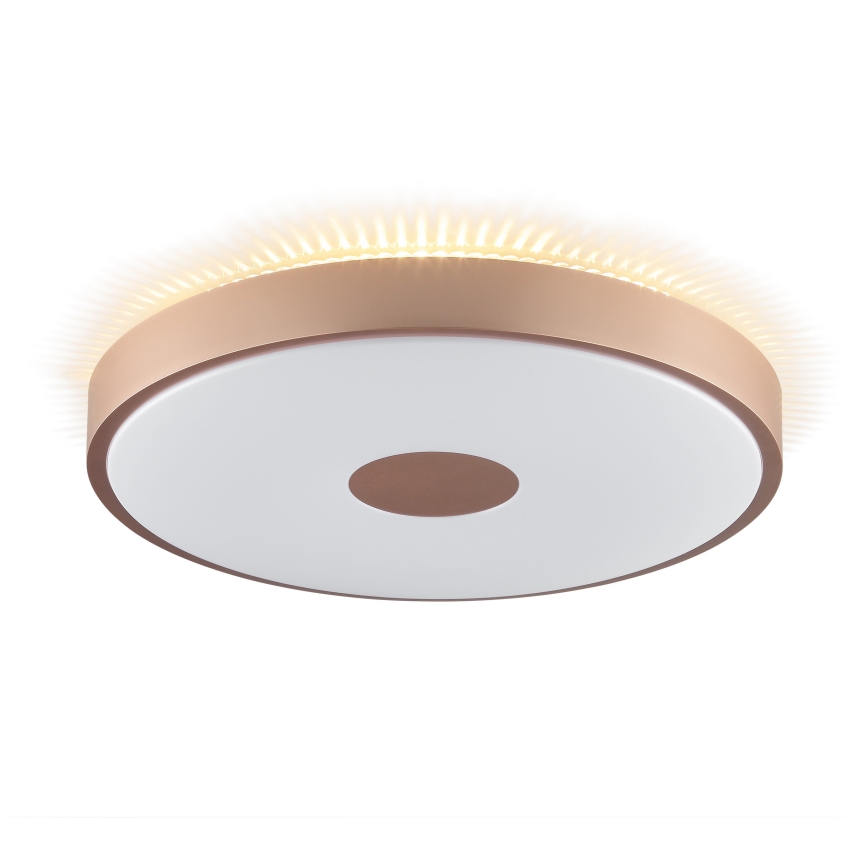 Brilliant - LED stropné svietidlo TAVIS LED/24W/230V pr. 44,5 cm ružové zlato