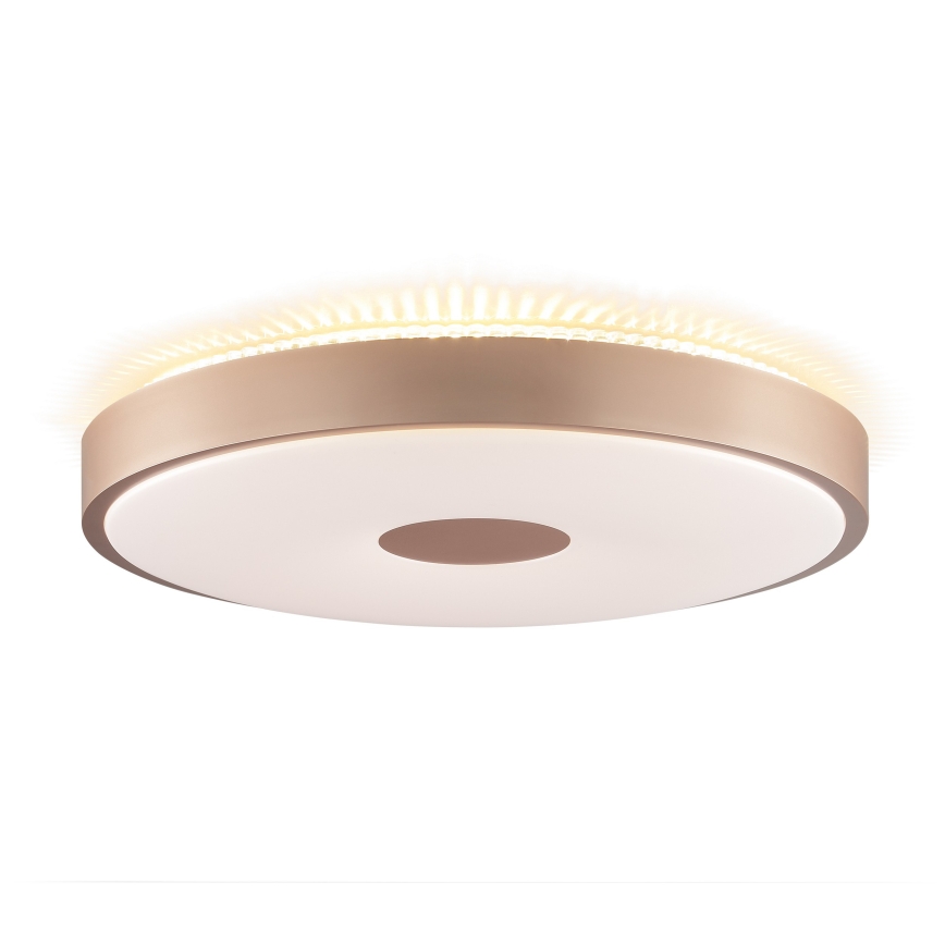 Brilliant - LED stropné svietidlo TAVIS LED/24W/230V pr. 44,5 cm ružové zlato