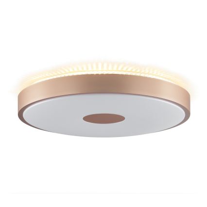 Brilliant - LED stropné svietidlo TAVIS LED/24W/230V pr. 44,5 cm ružové zlato