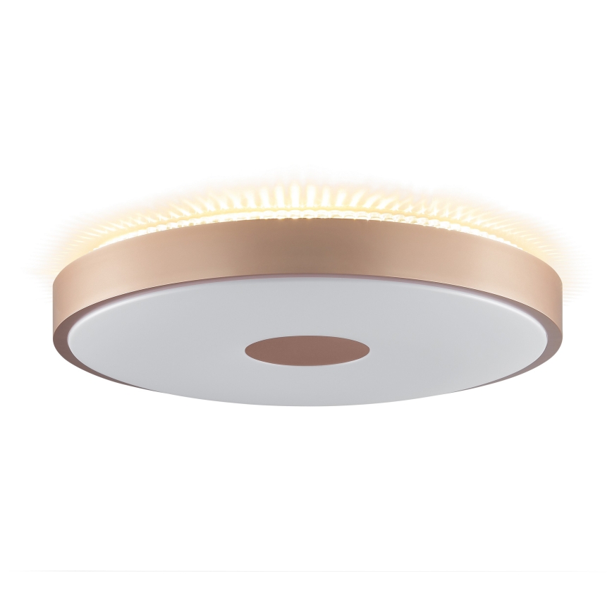 Brilliant - LED stropné svietidlo TAVIS LED/24W/230V pr. 44,5 cm ružové zlato