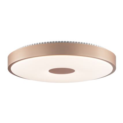 Brilliant - LED stropné svietidlo TAVIS LED/24W/230V pr. 44,5 cm ružové zlato