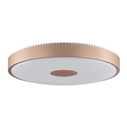 Brilliant - LED stropné svietidlo TAVIS LED/24W/230V pr. 44,5 cm ružové zlato