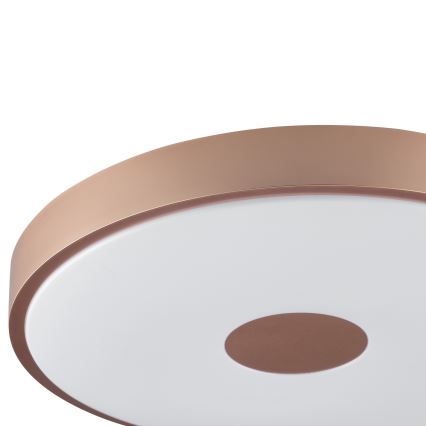 Brilliant - LED stropné svietidlo TAVIS LED/24W/230V pr. 44,5 cm ružové zlato