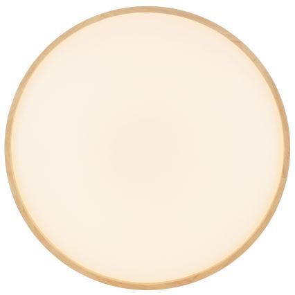 Brilliant - LED Stmievateľné stropné svietidlo ALSON LED/17W/230V 3000-6500K pr. 49,5 cm kaučukovník + diaľkové ovládanie