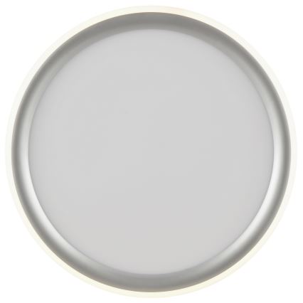 Brilliant - stmievané LED stropné svietidlo CARLOZ LED/16W/230V pr. 30 cm biela/šedá